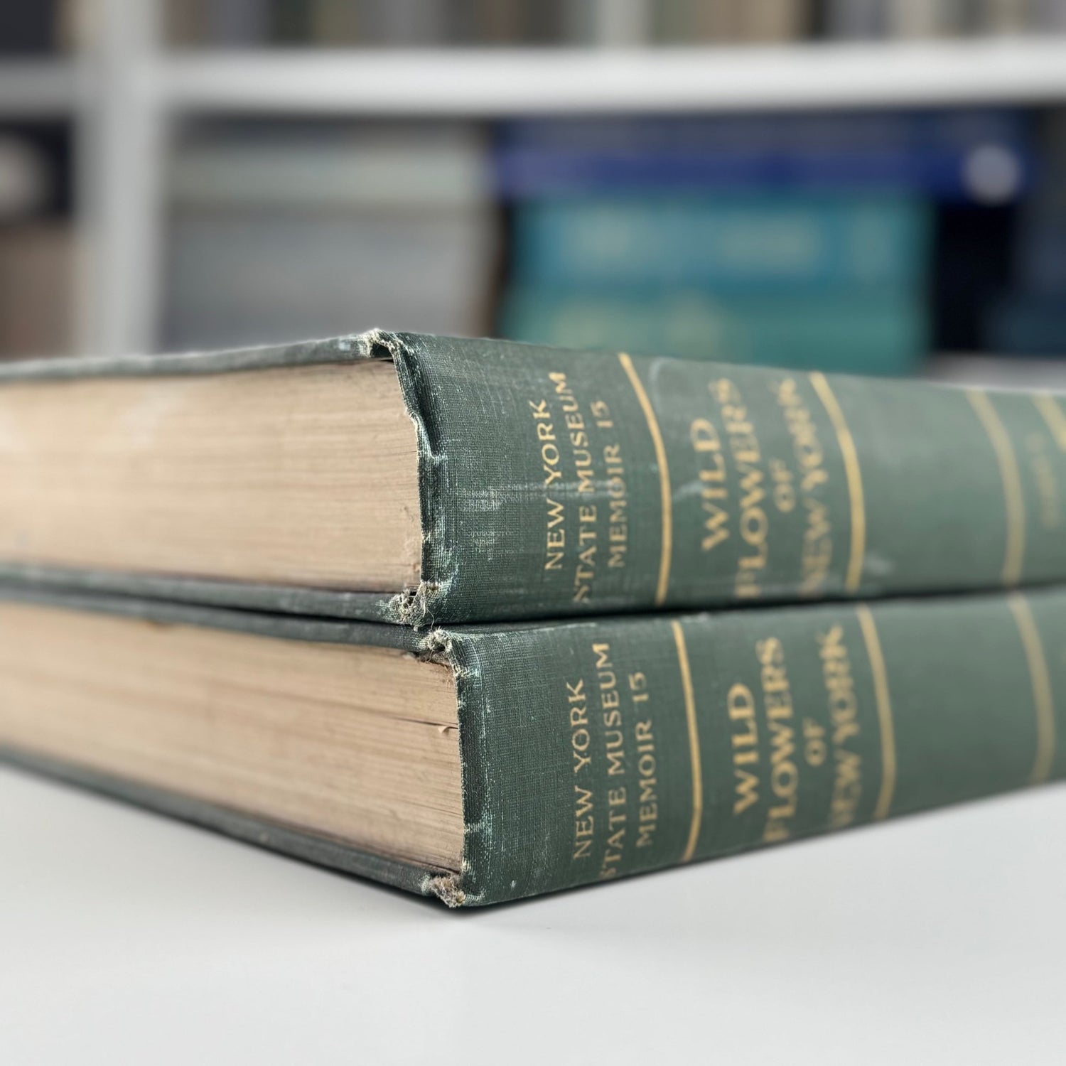 Wild Flowers of New York, 1919, Two Volume Set, NY State Museum Memoir 15 - Pretty Old Books