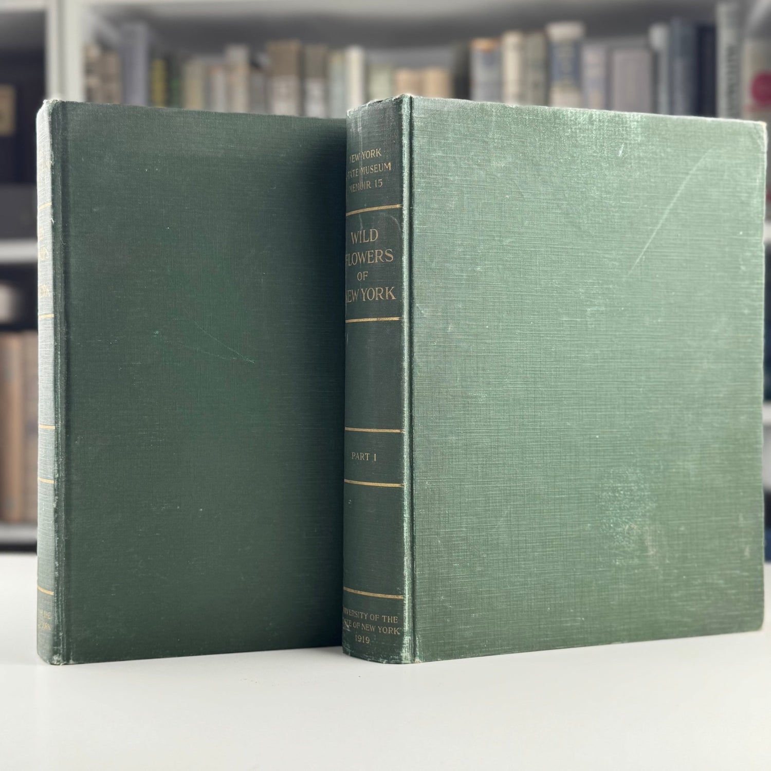 Wild Flowers of New York, 1919, Two Volume Set, NY State Museum Memoir 15 - Pretty Old Books