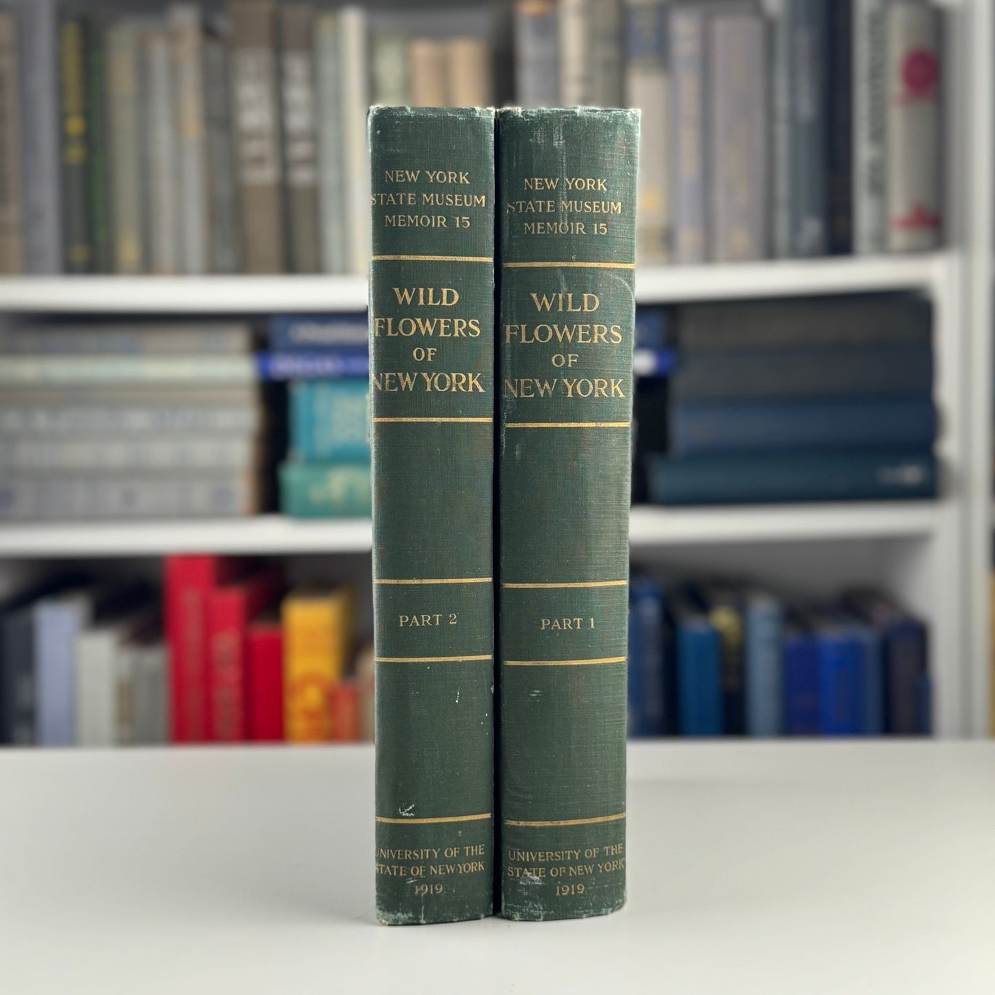 Wild Flowers of New York, 1919, Two Volume Set, NY State Museum Memoir 15 - Pretty Old Books