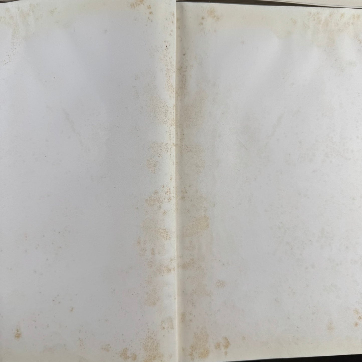 Wild Flowers of New York, 1919, Two Volume Set, NY State Museum Memoir 15 - Pretty Old Books