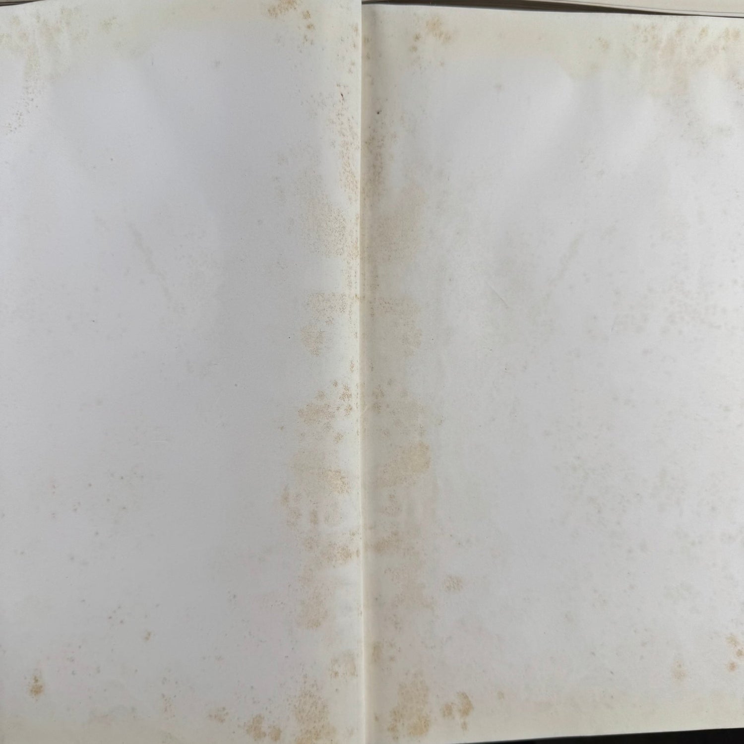 Wild Flowers of New York, 1919, Two Volume Set, NY State Museum Memoir 15 - Pretty Old Books