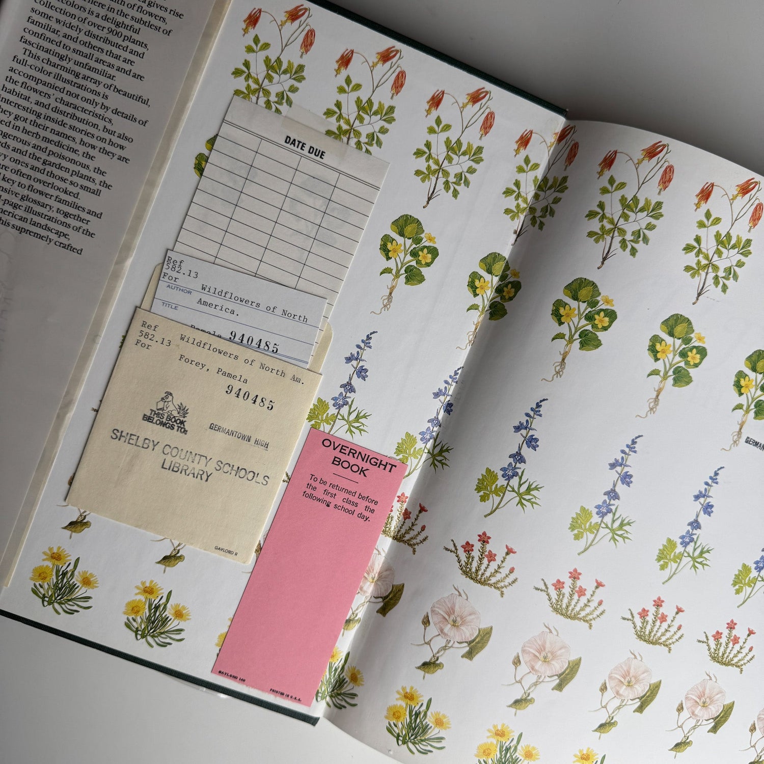 Wild Flowers of North America by Pamela Forey, 1991 Hardcover - Pretty Old Books