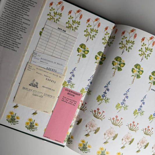 Wild Flowers of North America by Pamela Forey, 1991 Hardcover - Pretty Old Books