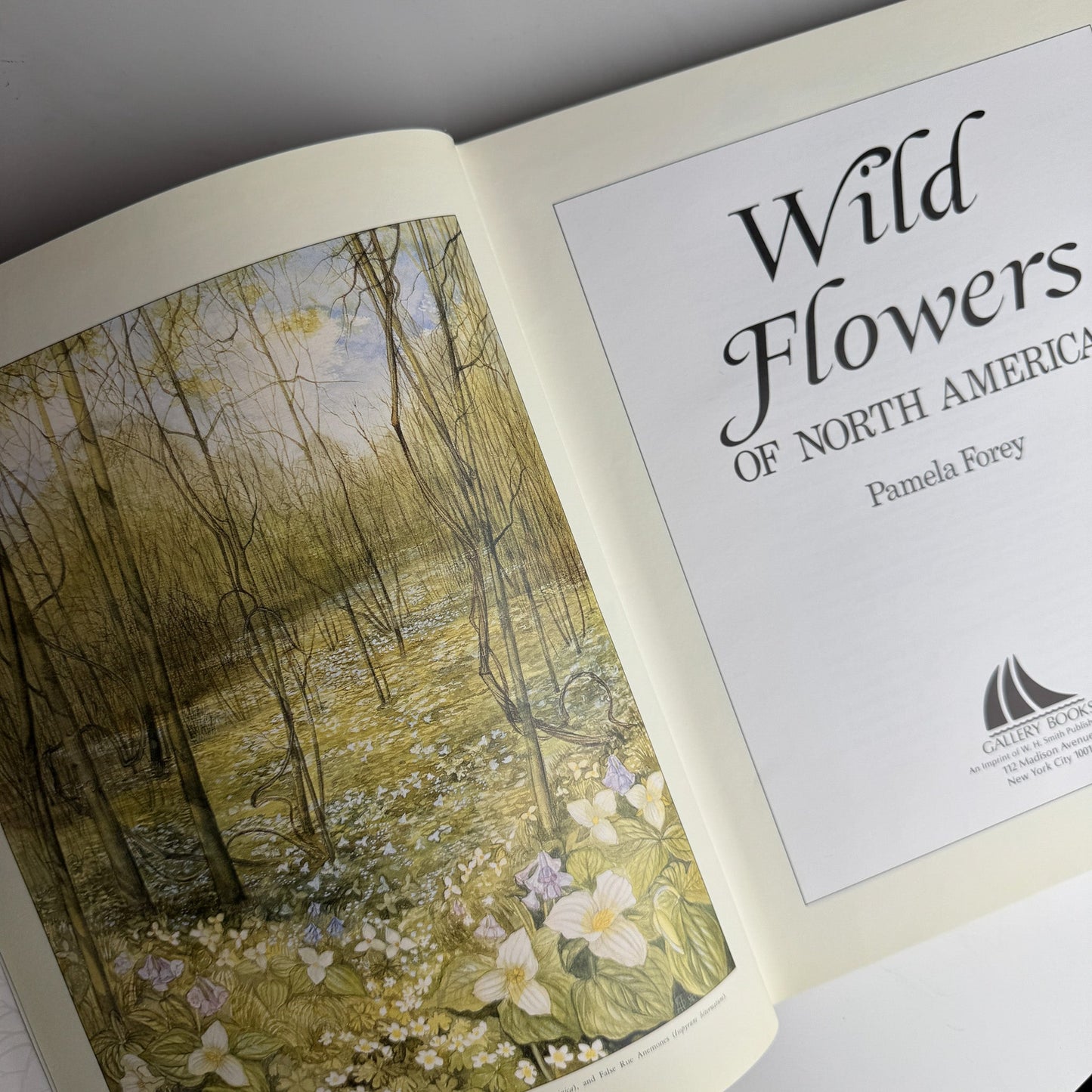 Wild Flowers of North America by Pamela Forey, 1991 Hardcover - Pretty Old Books