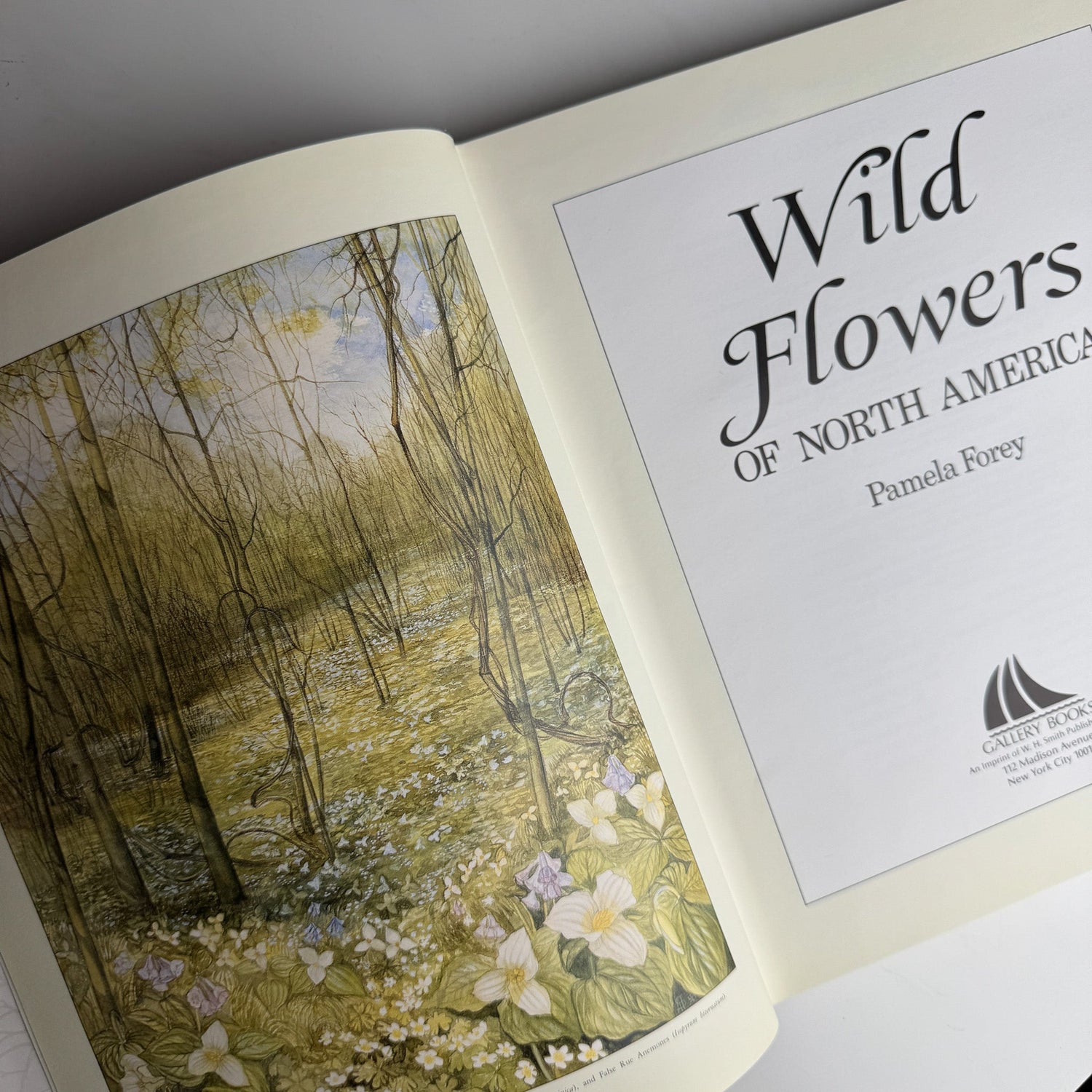 Wild Flowers of North America by Pamela Forey, 1991 Hardcover - Pretty Old Books