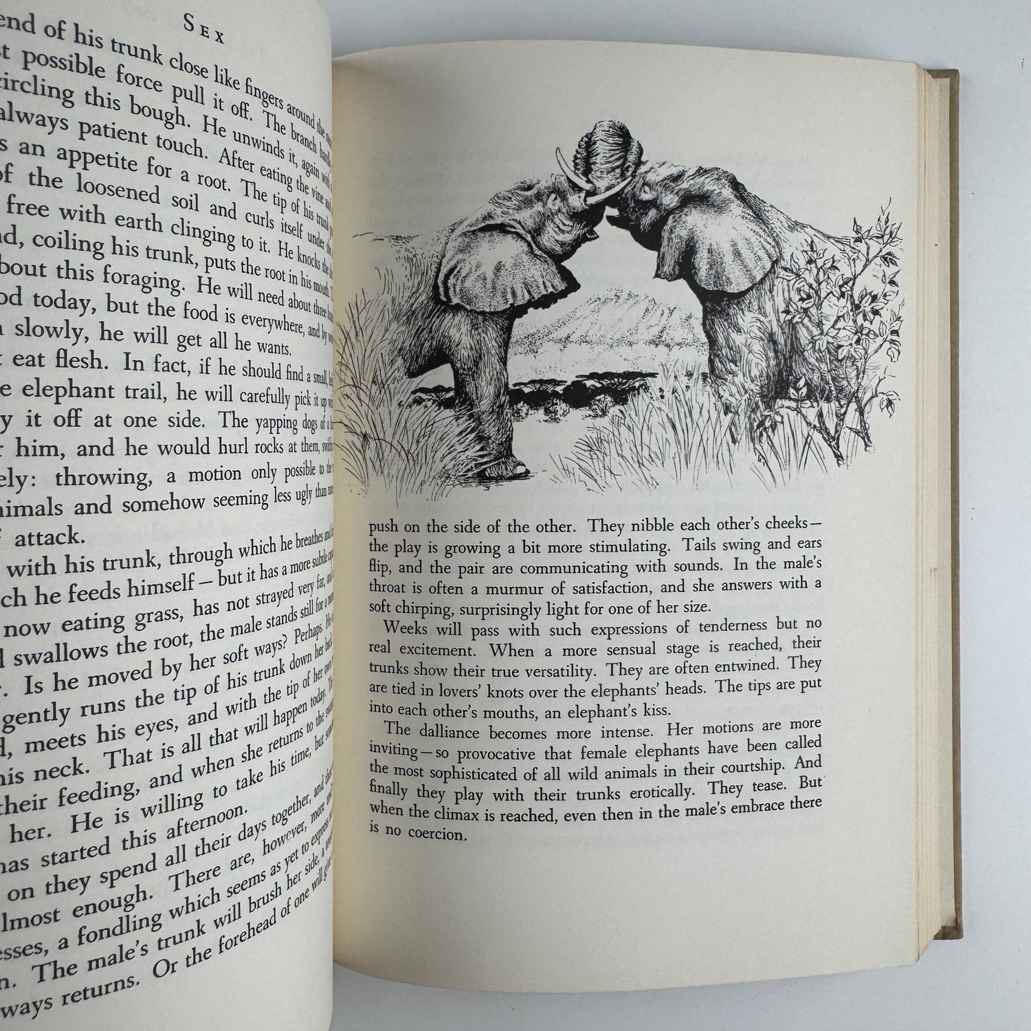 Wild Heritage, Sally Carrighar, Illustrated Animal Behavior Hardcover, 1965 - Pretty Old Books