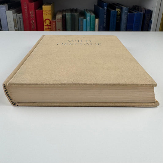 Wild Heritage, Sally Carrighar, Illustrated Animal Behavior Hardcover, 1965 - Pretty Old Books