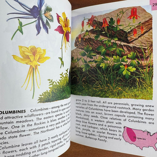 Wildflowers A Golden Guide 2002 Paperback - Pretty Old Books