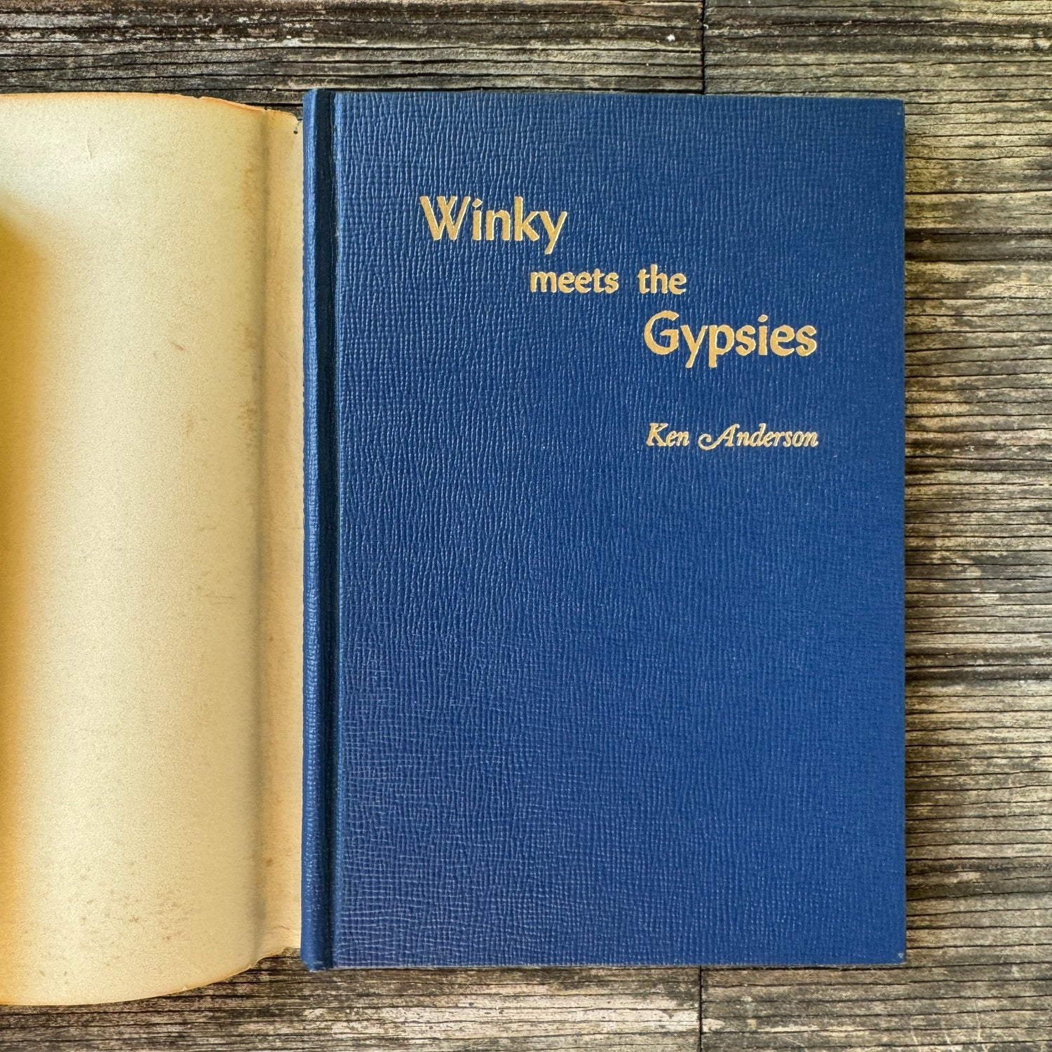 Winky Meets the Gypsies by Ken Anderson, 1947 - Pretty Old Books