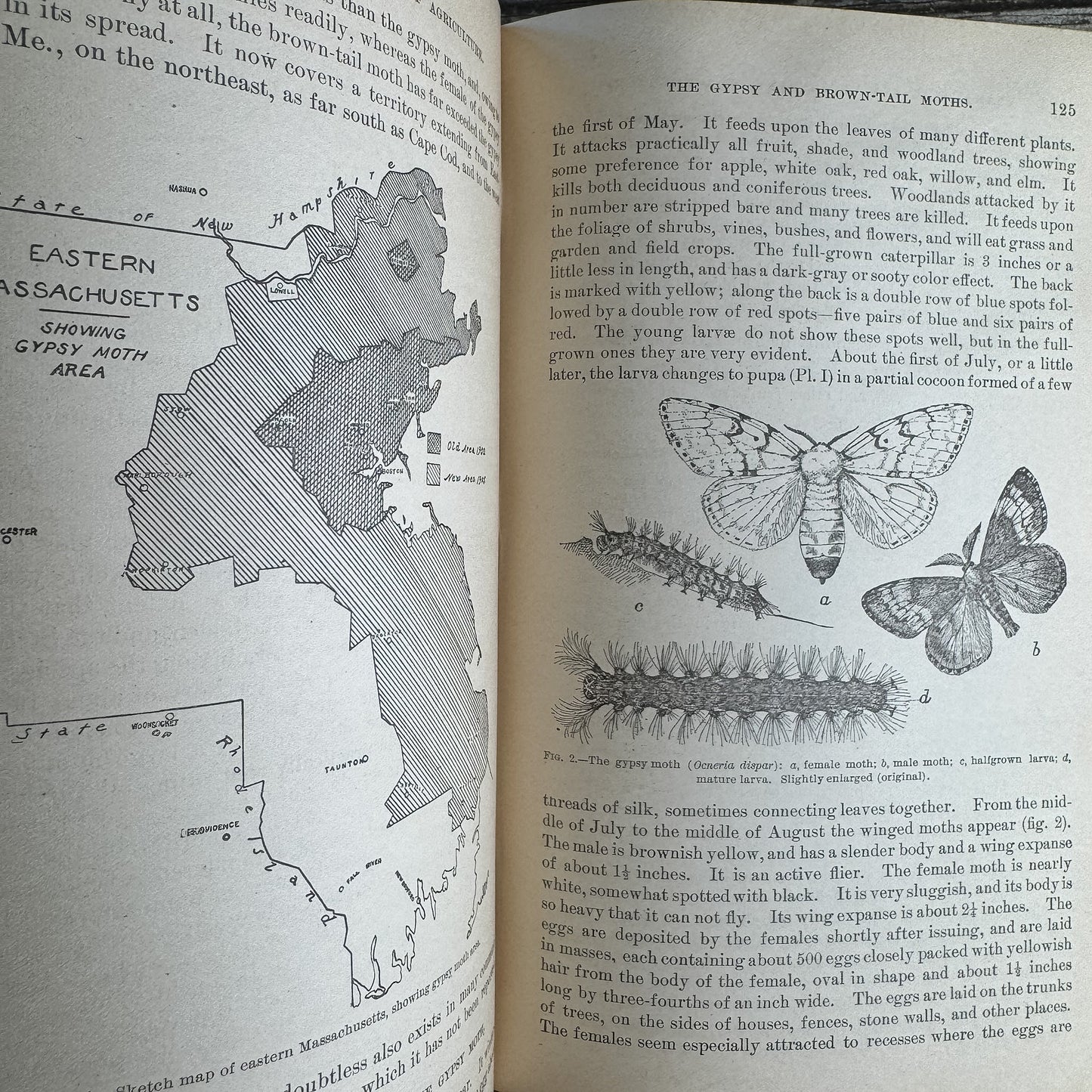 Yearbook of Agriculture 1905, U.S. Department of Agriculture, 1906 - Pretty Old Books