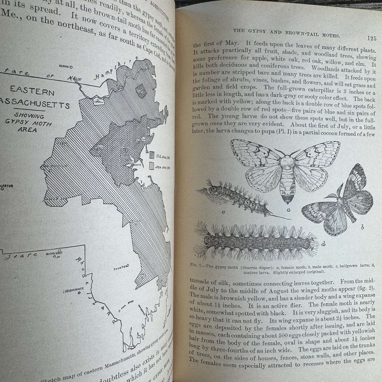 Yearbook of Agriculture 1905, U.S. Department of Agriculture, 1906 - Pretty Old Books