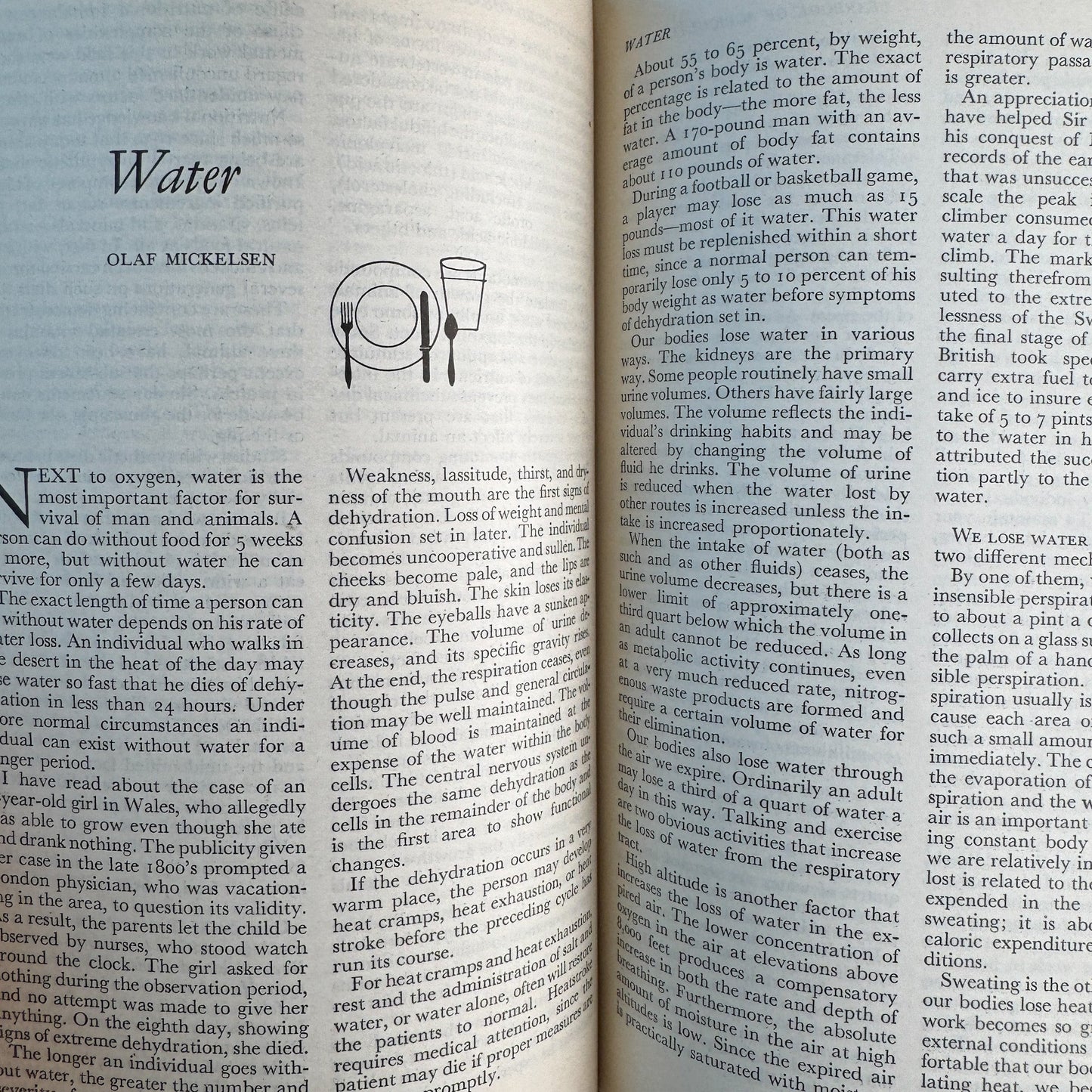 Yearbook of Agriculture 1959: Food, USDA, 1959 - Pretty Old Books