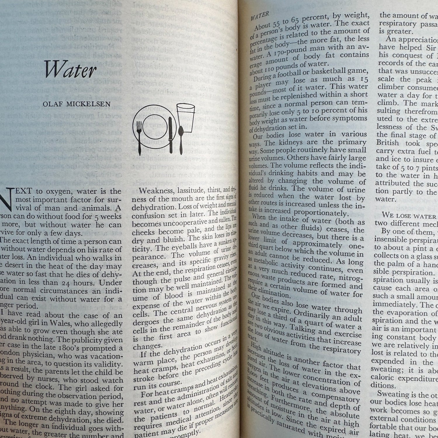 Yearbook of Agriculture 1959: Food, USDA, 1959 - Pretty Old Books