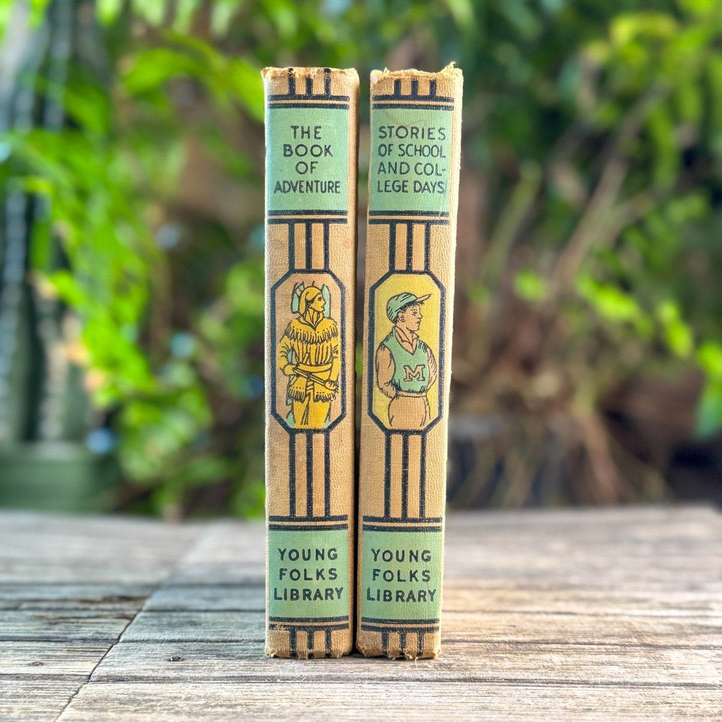 Young Folks Library, Two Volumes, Thomas Bailey Aldrich, 1952 - Pretty Old Books