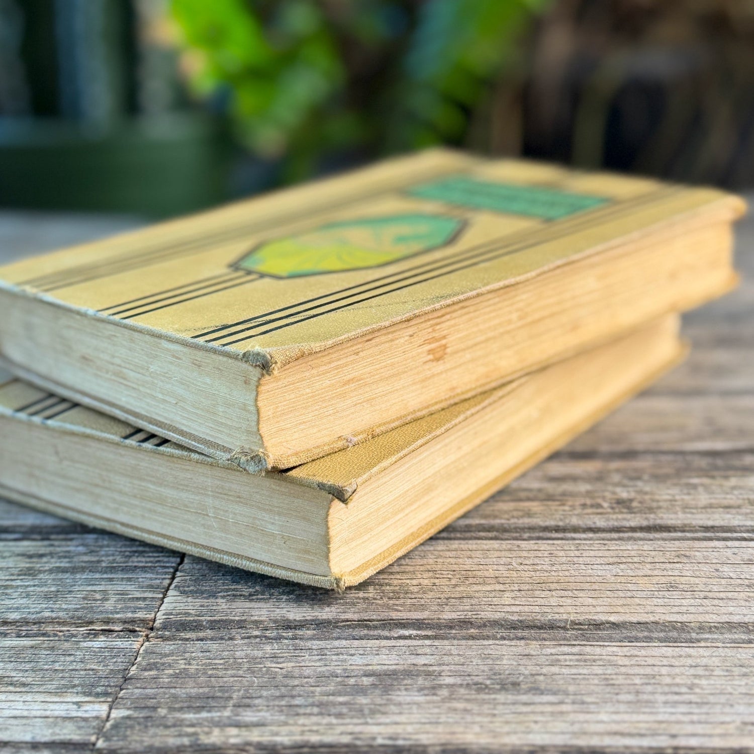 Young Folks Library, Two Volumes, Thomas Bailey Aldrich, 1952 - Pretty Old Books