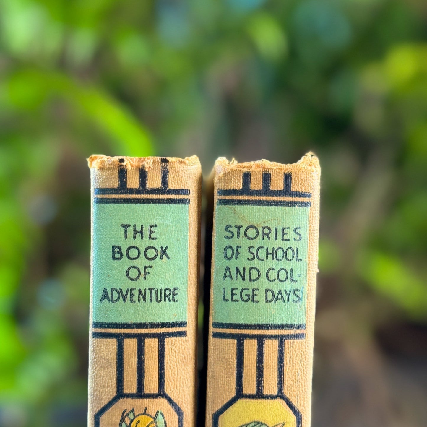 Young Folks Library, Two Volumes, Thomas Bailey Aldrich, 1952 - Pretty Old Books