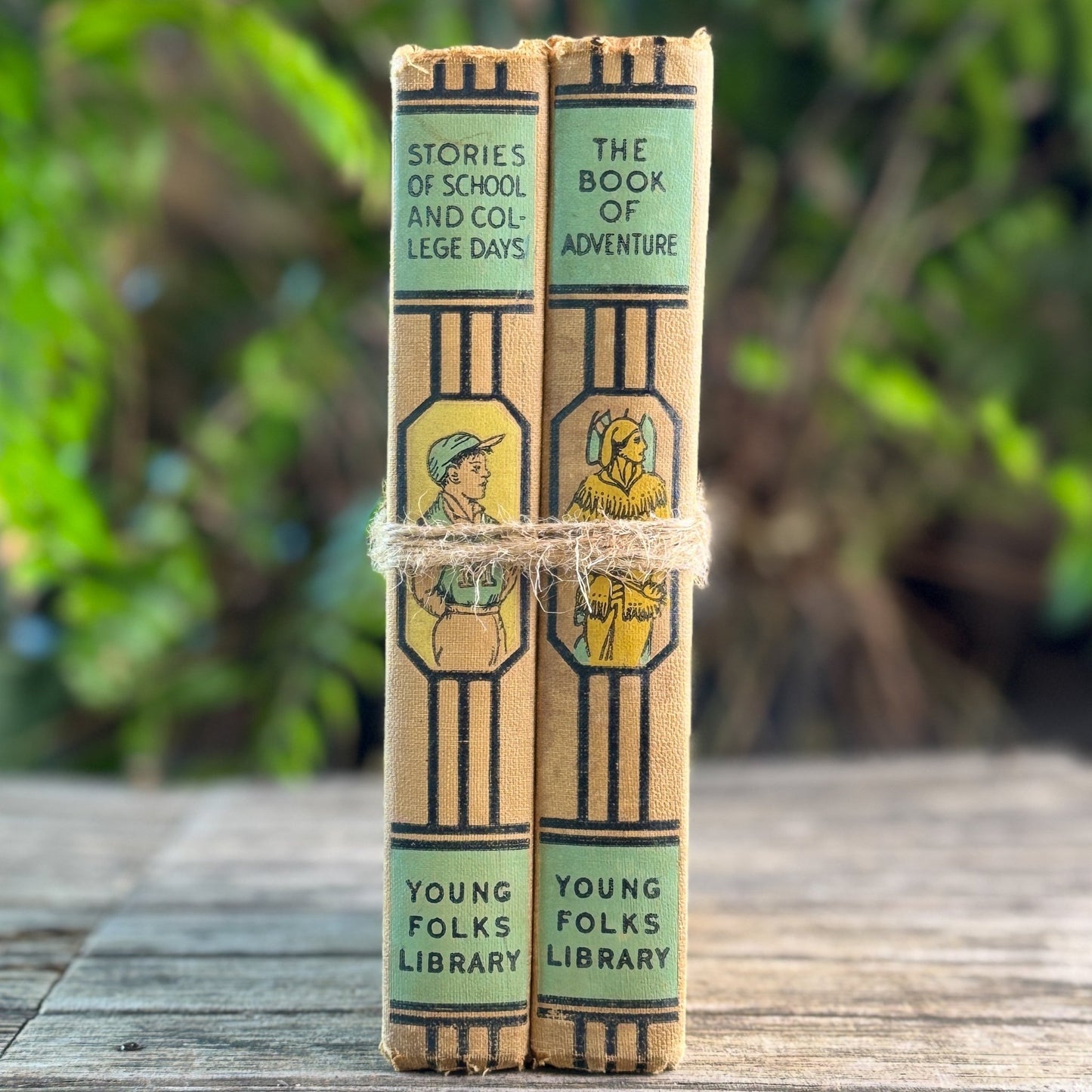 Young Folks Library, Two Volumes, Thomas Bailey Aldrich, 1952 - Pretty Old Books
