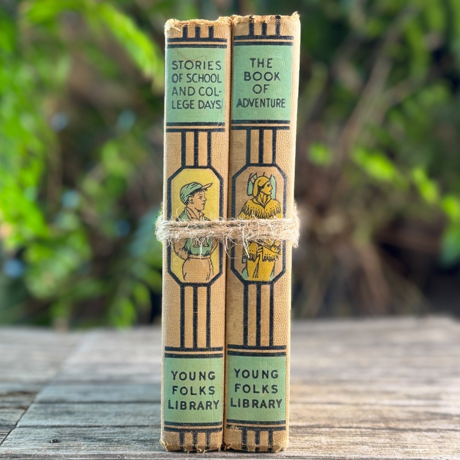 Young Folks Library, Two Volumes, Thomas Bailey Aldrich, 1952 - Pretty Old Books