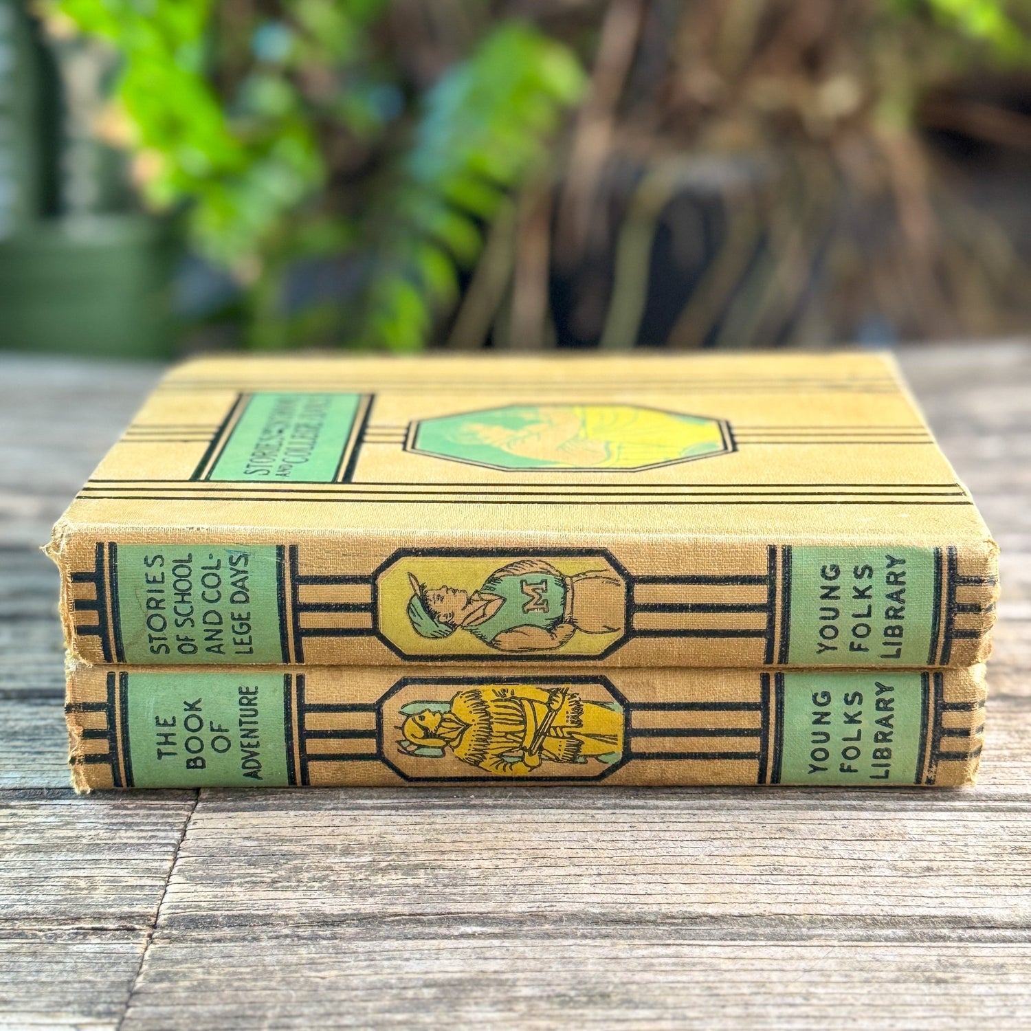 Young Folks Library, Two Volumes, Thomas Bailey Aldrich, 1952 - Pretty Old Books