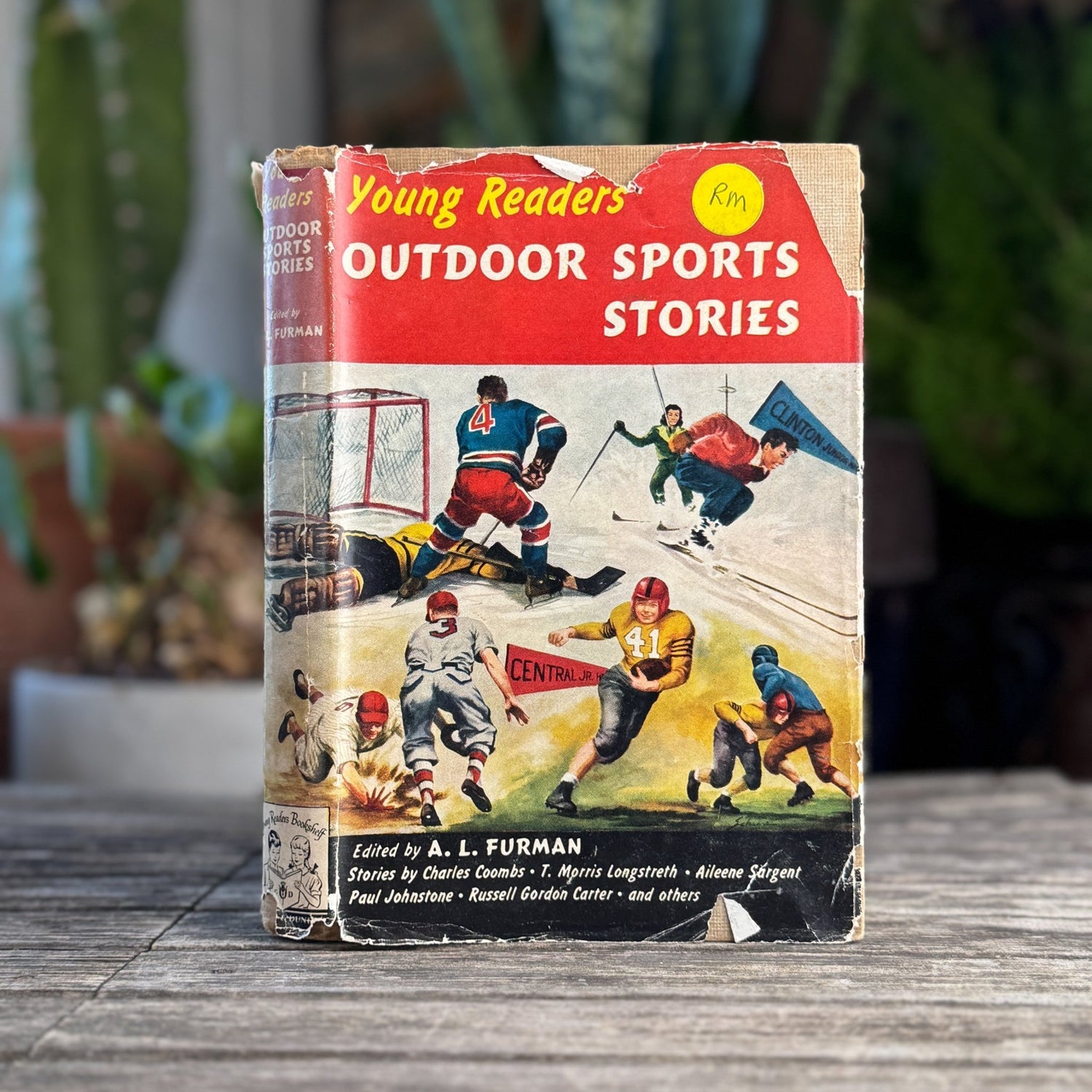 Vintage Children's Fiction Books