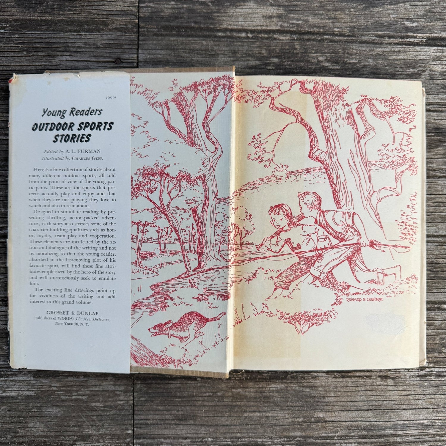 Young Readers Outdoor Sports Stories, 1951 - Pretty Old Books