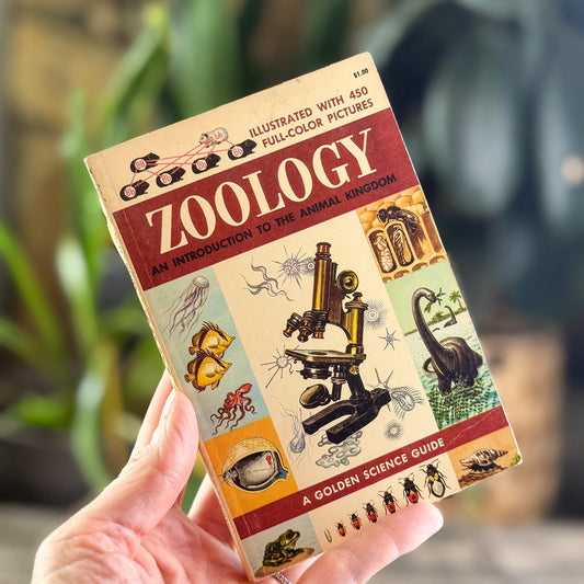 Zoology, A Golden Guide, 1958 - Pretty Old Books