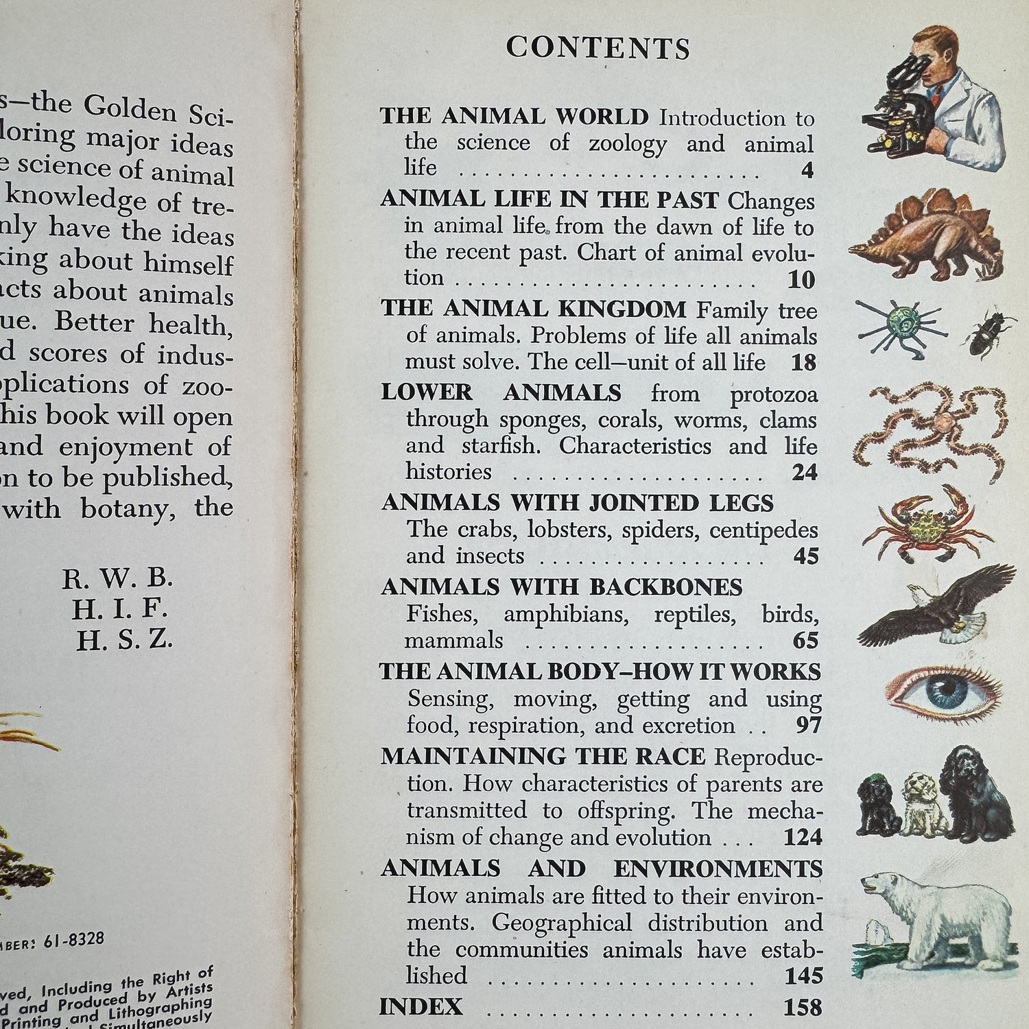 Zoology, A Golden Guide, 1958 - Pretty Old Books
