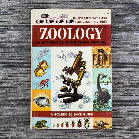 Zoology, A Golden Guide, 1958 - Pretty Old Books