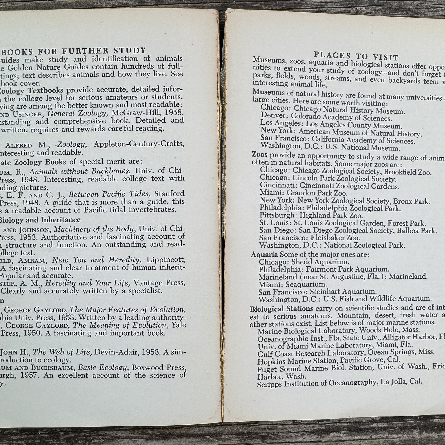 Zoology, A Golden Guide, 1958 - Pretty Old Books