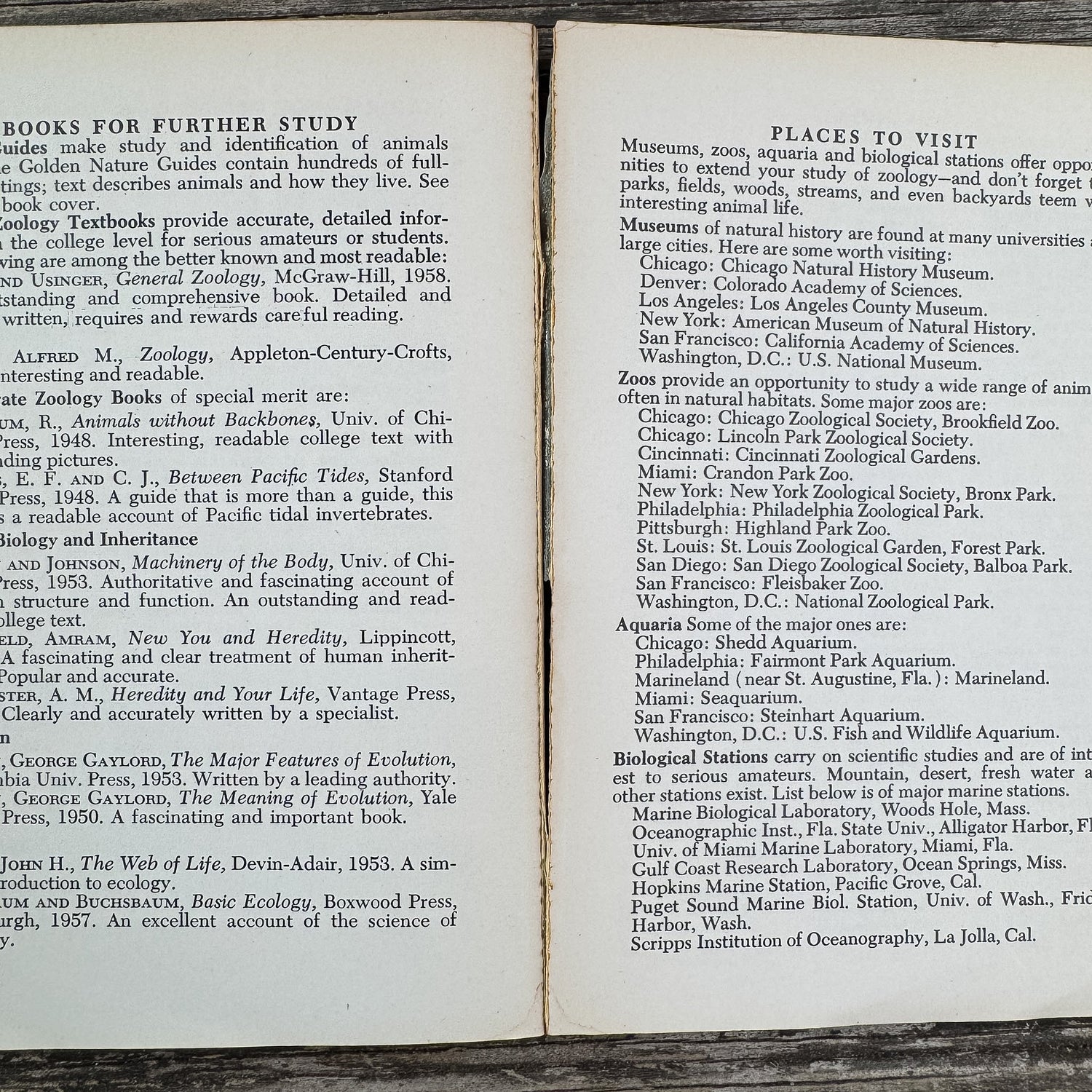 Zoology, A Golden Guide, 1958 - Pretty Old Books