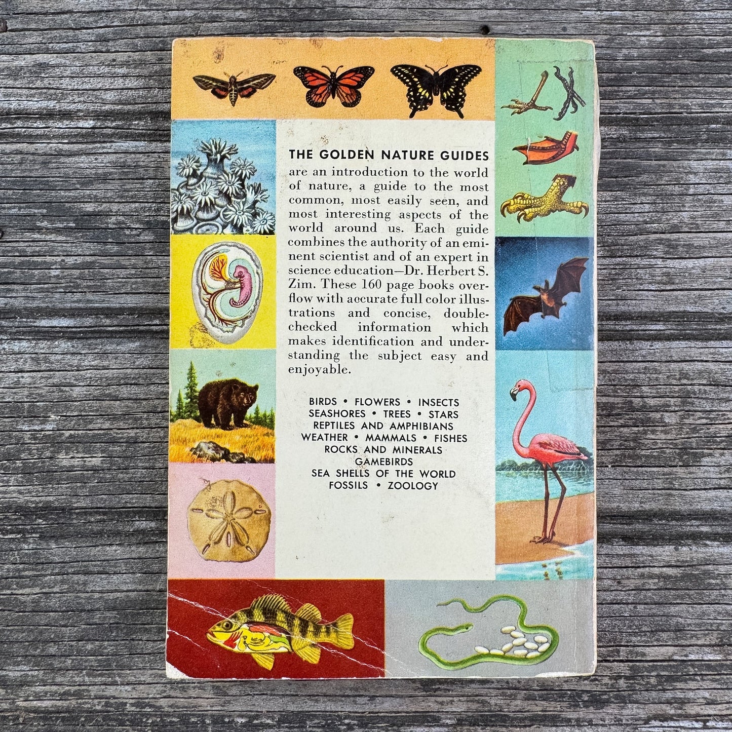 Zoology, A Golden Guide, 1958 - Pretty Old Books