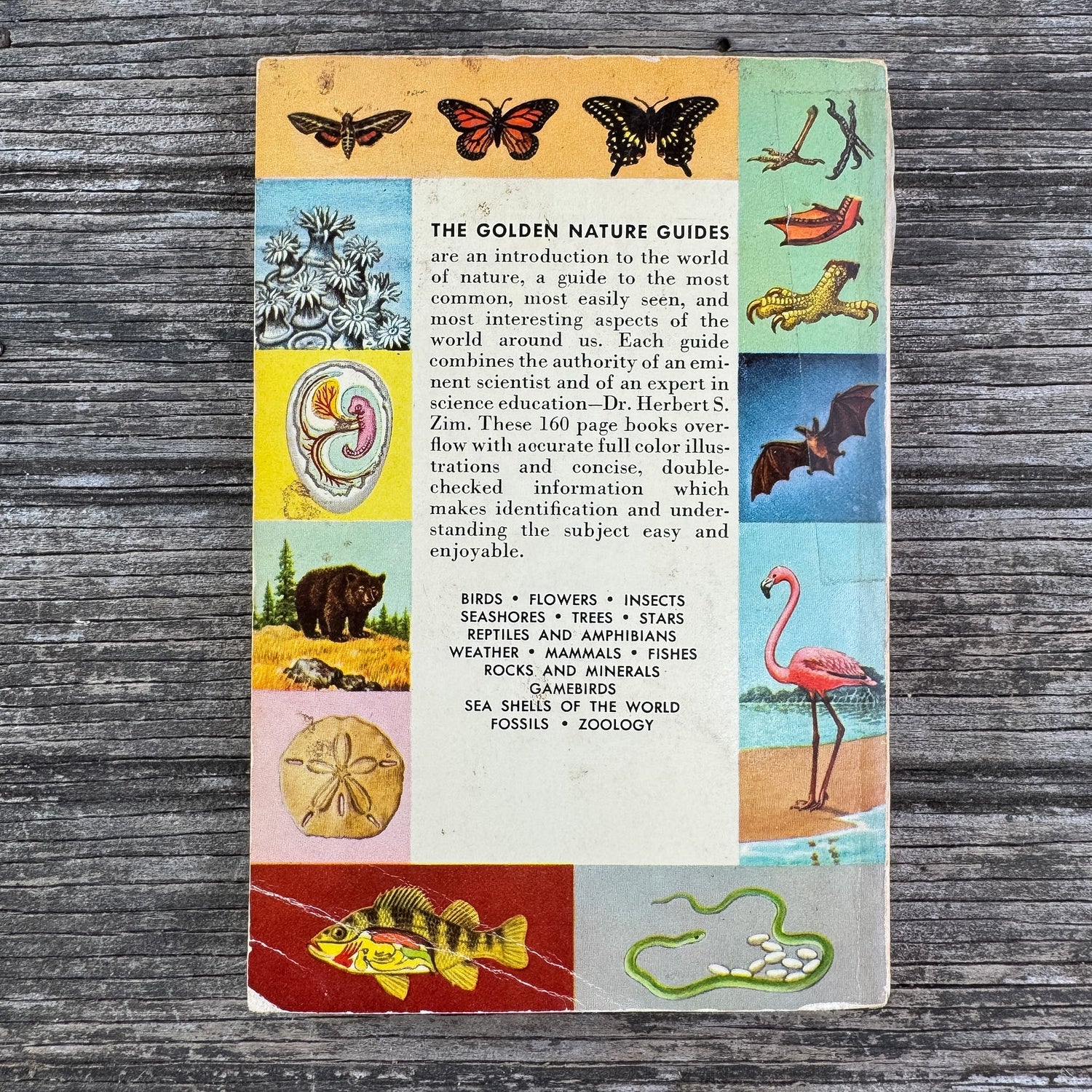 Zoology, A Golden Guide, 1958 - Pretty Old Books