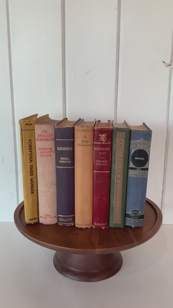 Faded Vintage Rainbow Book Set for Shelf Display, Rustic Farmhouse Decor, Rainbow Bookshelf Decor