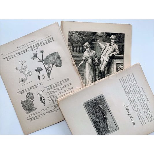 Book Paperie for Crafting, Junk Journal Supplies, Antique and Vintage Paper Pack - Pretty Old Books