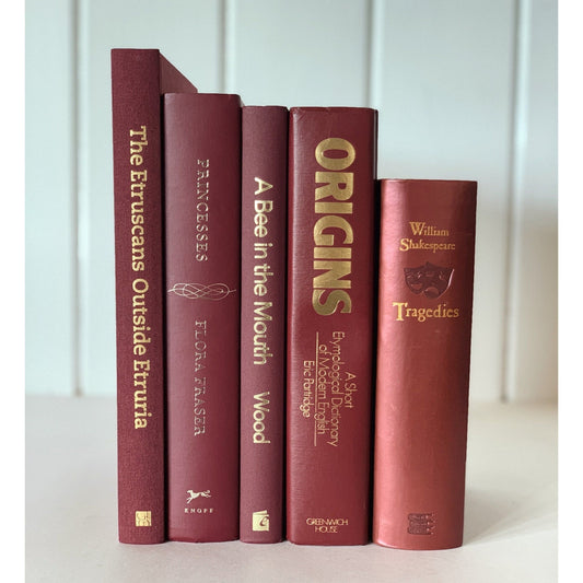 Dark Red Vintage Book Bundle, Maroon Decorative Books, Rainbow Bookshelf, Aesthetic Books - Pretty Old Books