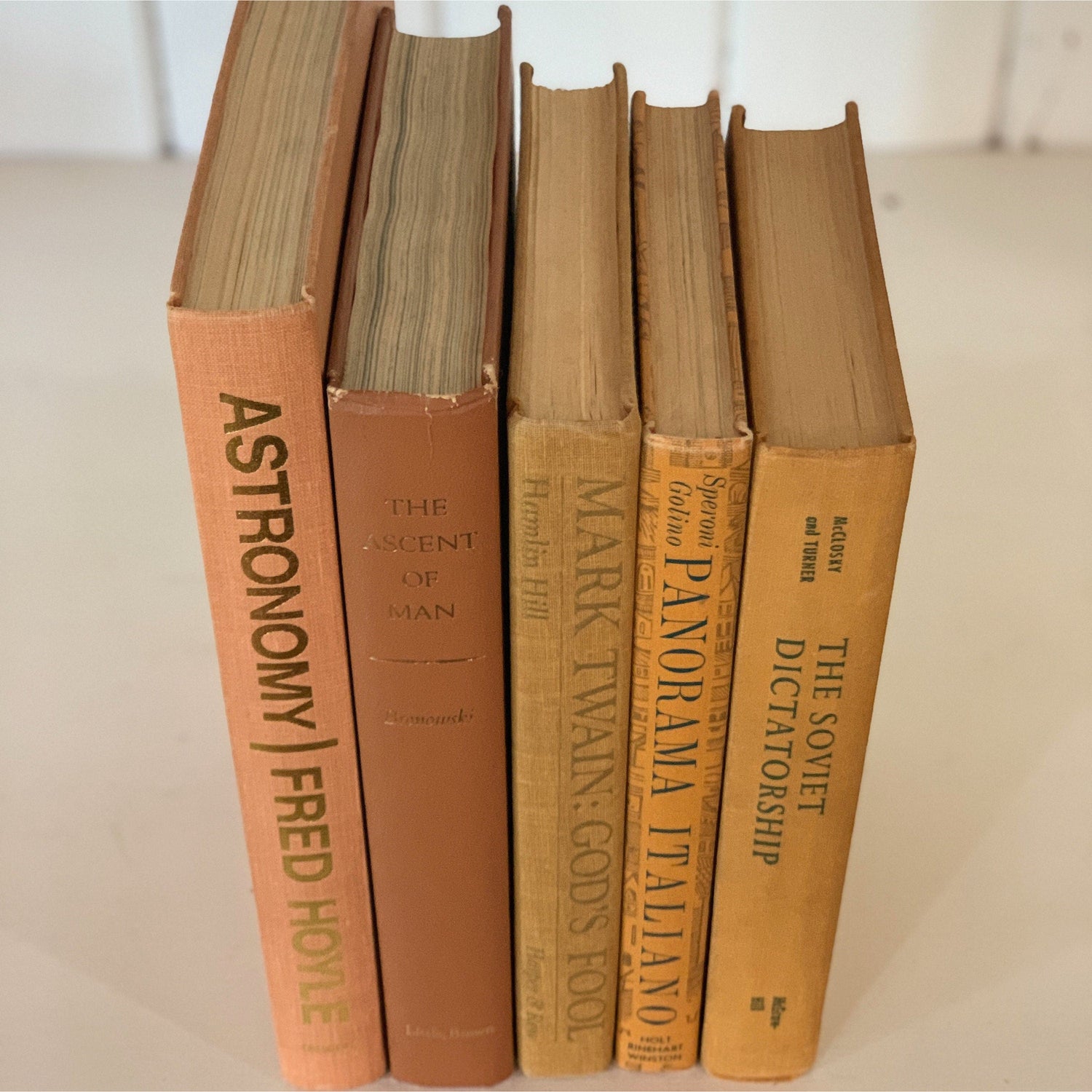 Orange Decorative Books, Fall Mantle, Vintage Bookshelf Decor, Large Book Set by Color