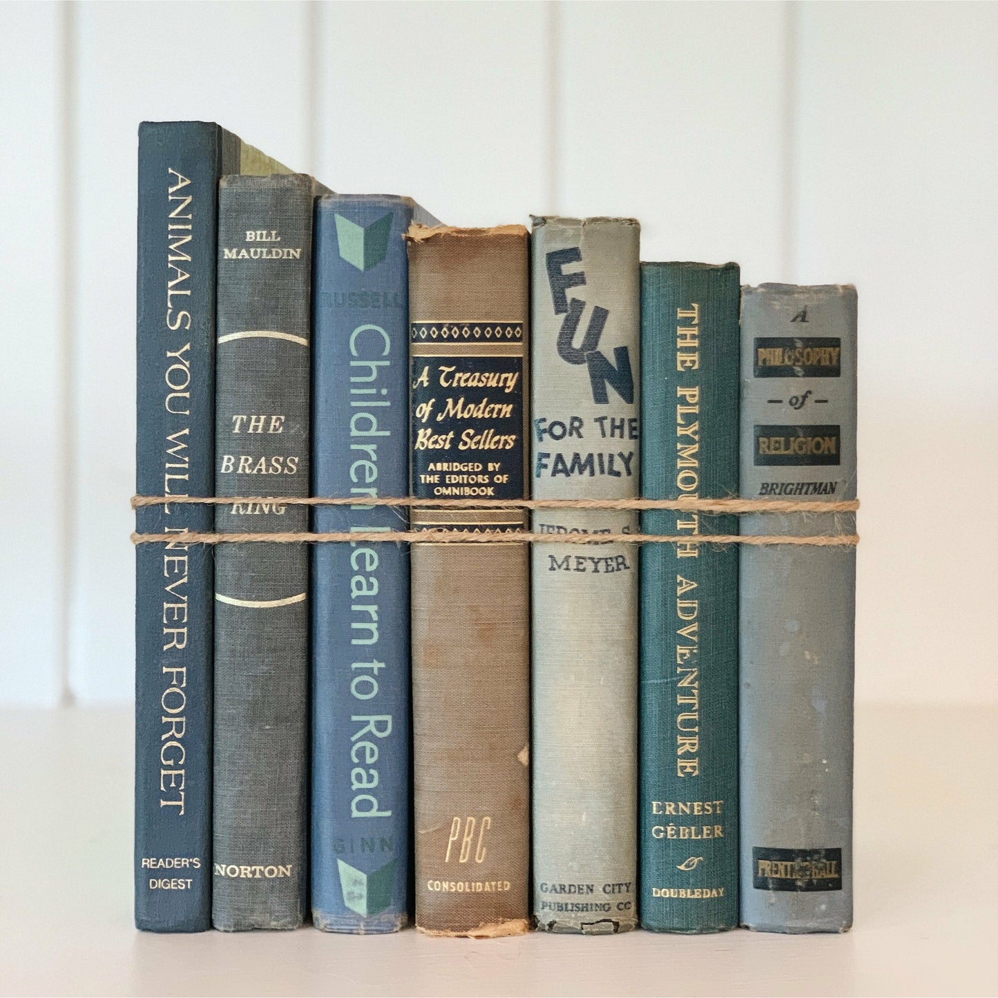 Vintage Faded Blue Book Bundle for Shelf Styling, Old Books For Decor
