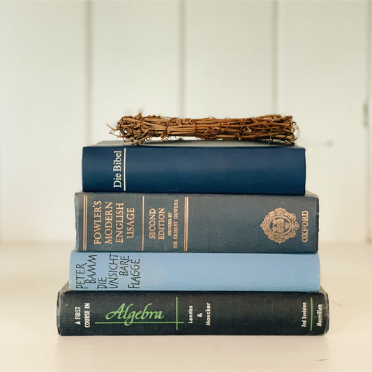 Blue Antique and Vintage Decorative Books for Display, Shabby Book Bundle, Nightstand Decor