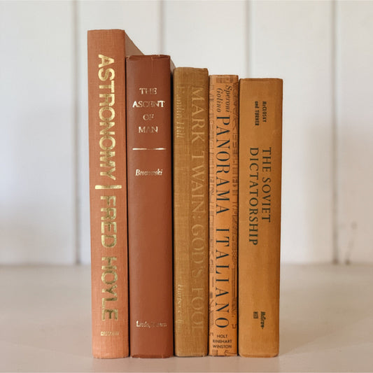 Orange Decorative Books, Fall Mantle, Vintage Bookshelf Decor, Large Book Set by Color
