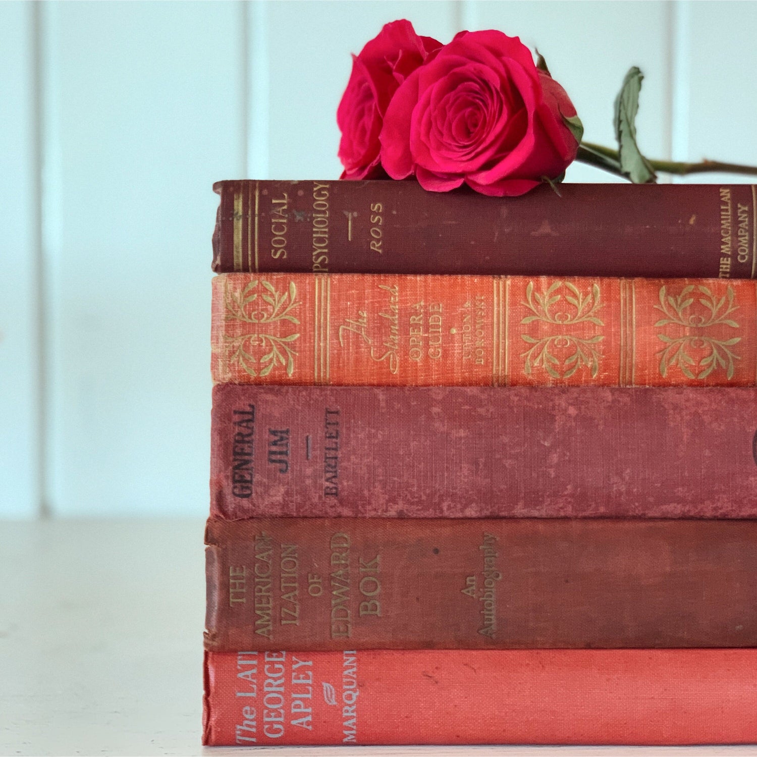Shabby Red Antique and Vintage Distressed Cozy Book Bundle