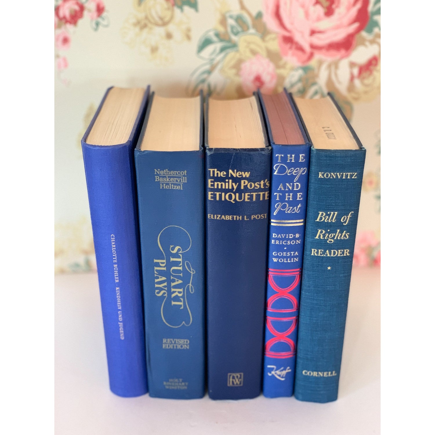 Navy and Indigo Blue Oversized Books for Decor, Books By Color Pretty