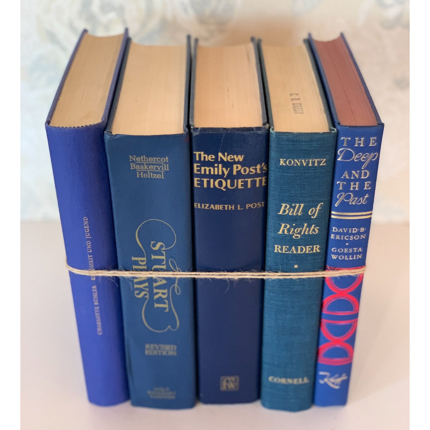 Navy and Indigo Blue Oversized Books for Decor, Books By Color Pretty