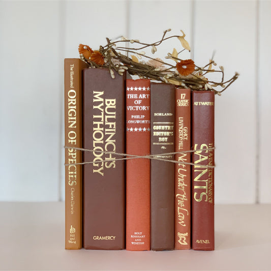 Mid-Century Vintage Terra Cotta Coral Book Bundle for Decor, Library and Office Decor