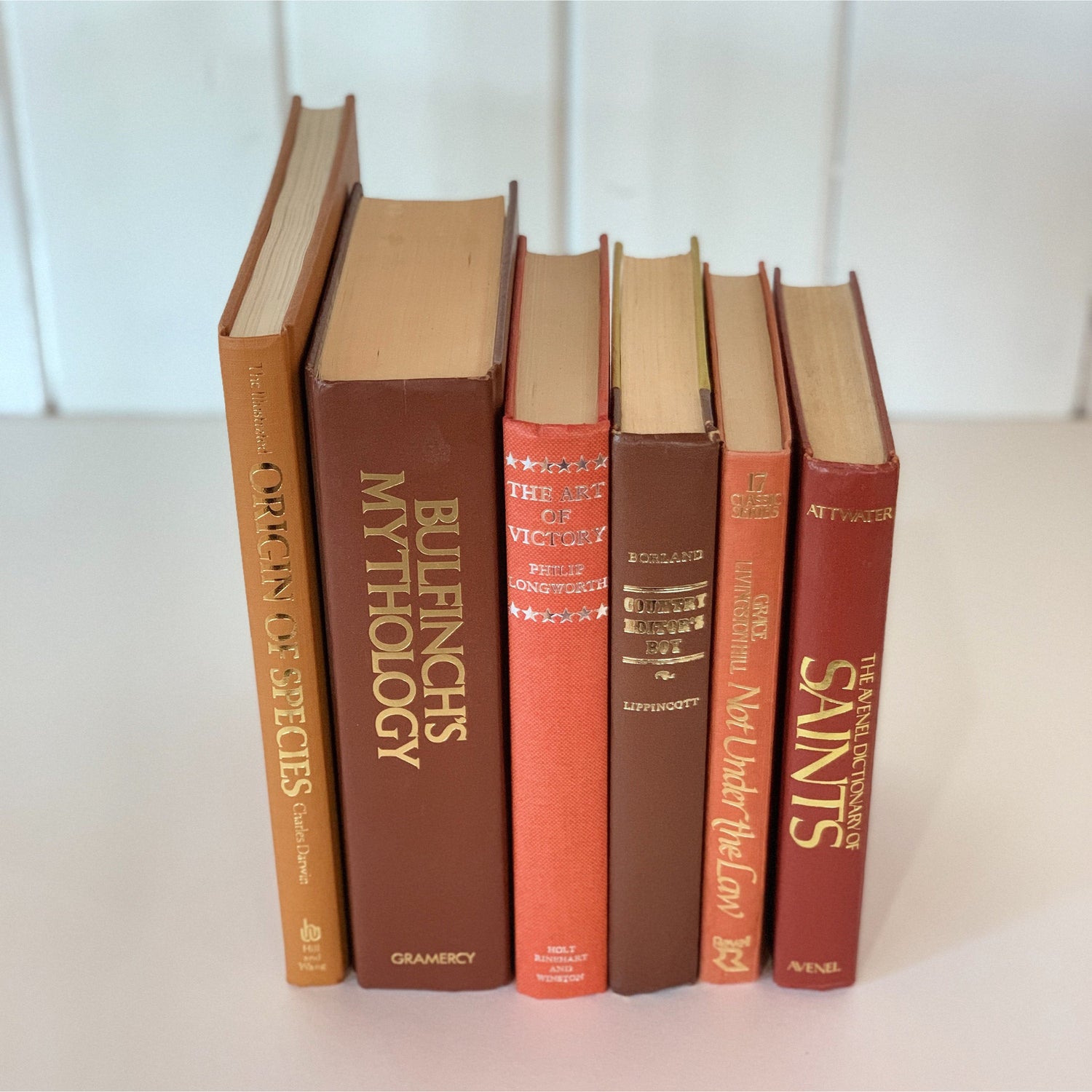 Mid-Century Vintage Terra Cotta Coral Book Bundle for Decor, Library and Office Decor