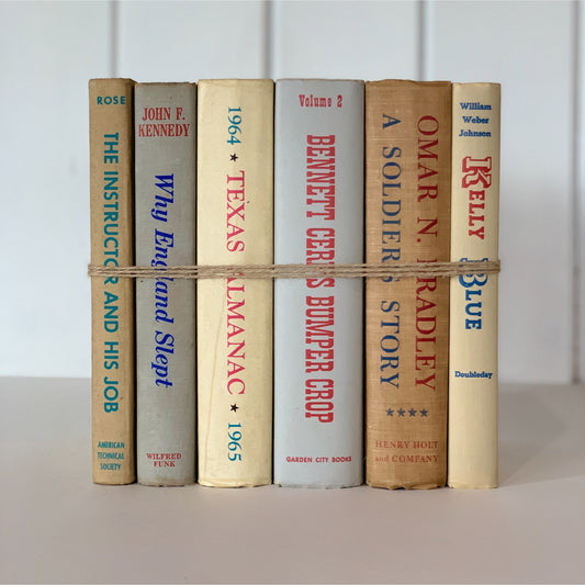 Decorative Beige, Blue, Red, and Gray Vintage Books for Decor, Bookshelf Decor