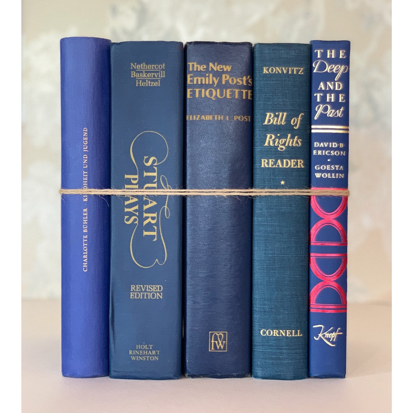 Navy and Indigo Blue Oversized Books for Decor, Books By Color Pretty