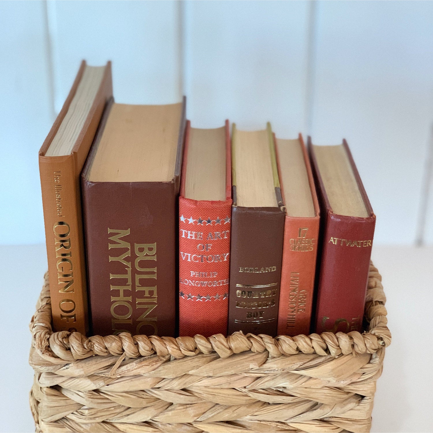 Mid-Century Vintage Terra Cotta Coral Book Bundle for Decor, Library and Office Decor