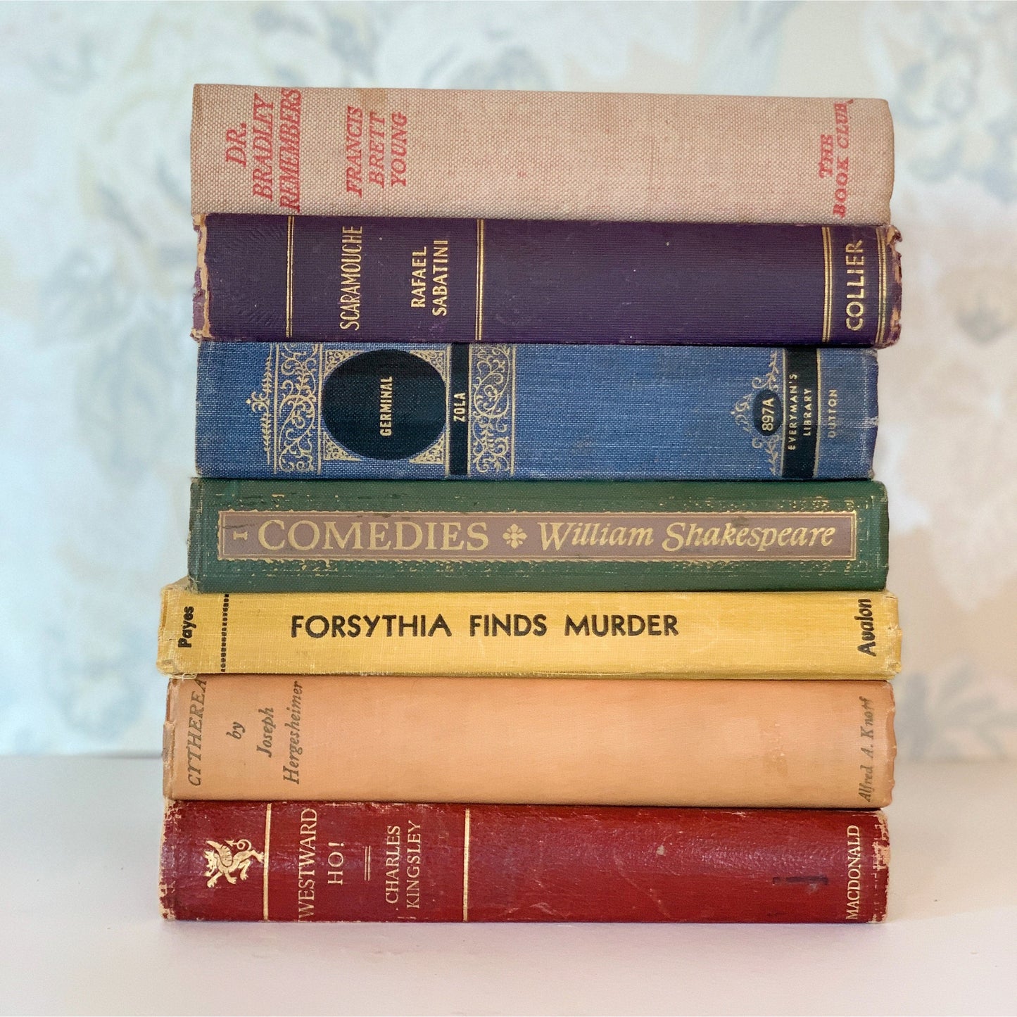 Faded Vintage Rainbow Book Set for Shelf Display, Rustic Farmhouse Decor, Rainbow Bookshelf Decor