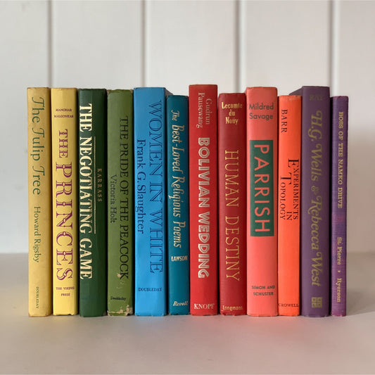 Bright Rainbow Book Set, Vintage Bookshelf Decor, Decorative Books, Homemade Decor, Shelf Styling