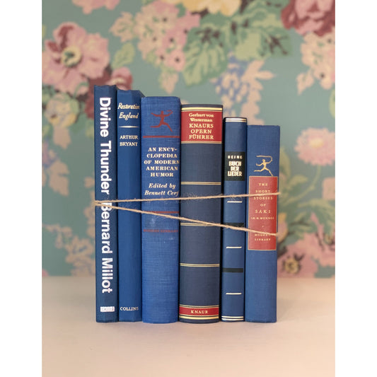 Indigo Blue Vintage Book Set, Home Staging, Boho Decor, Books for Wedding Centerpiece